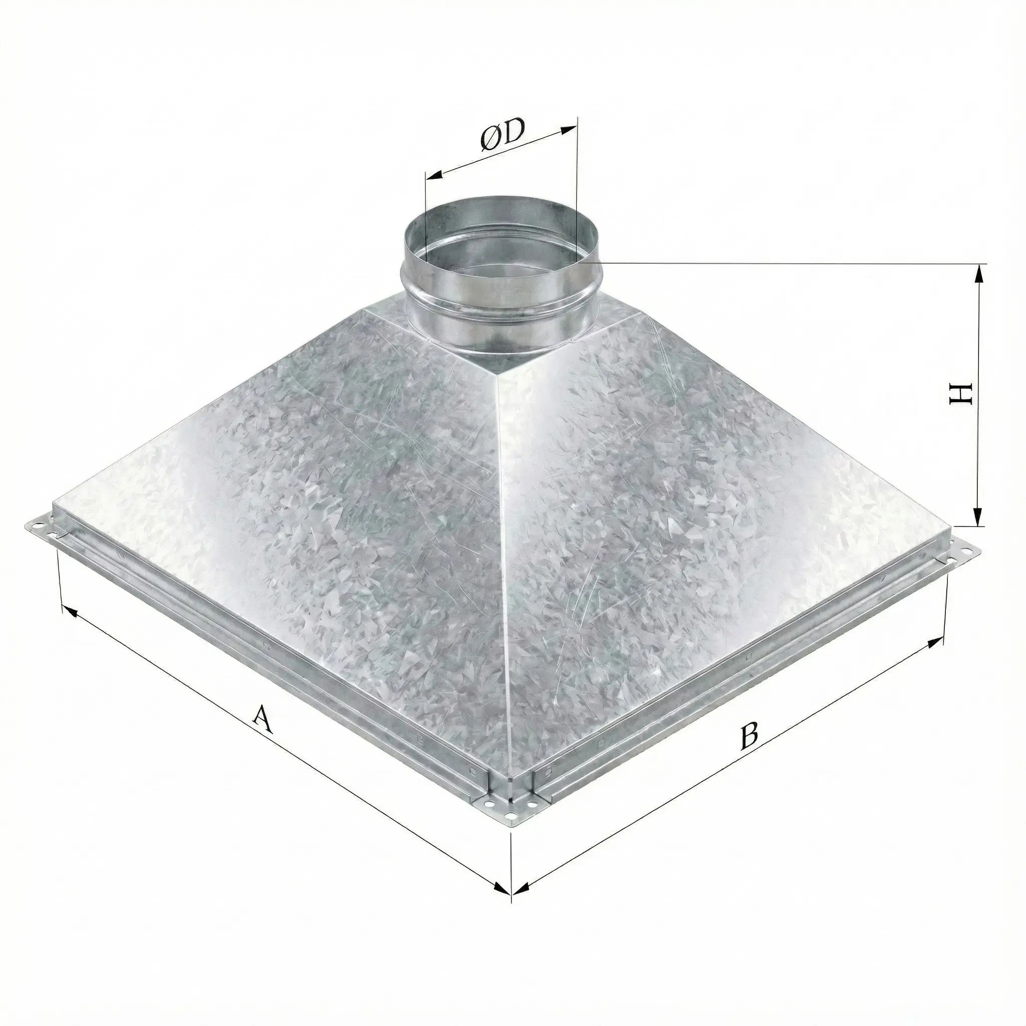 ���� �������� ���������